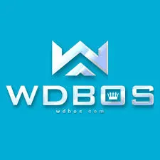 WDBOS - Petualangan Memukau dalam Dunia ARPG